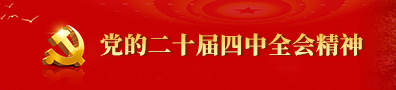 党的二十届四中全会精神